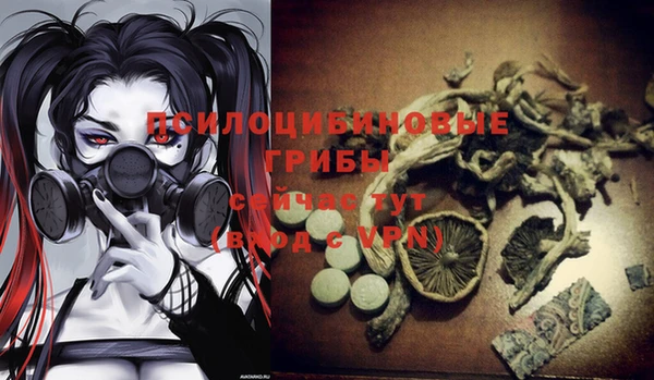 хмурый Алексеевка