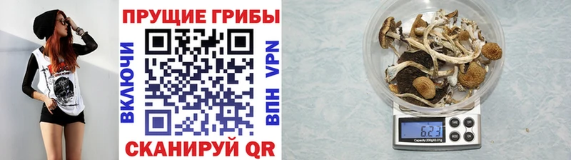 цена наркотик Карабулак Галлюциногенные грибы мухоморы