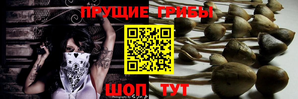 даркнет сайт  Вход с VPN  Карабулак  Псилоцибиновые грибы прущие грибы  Псилоцибиновые грибы мицелий 
